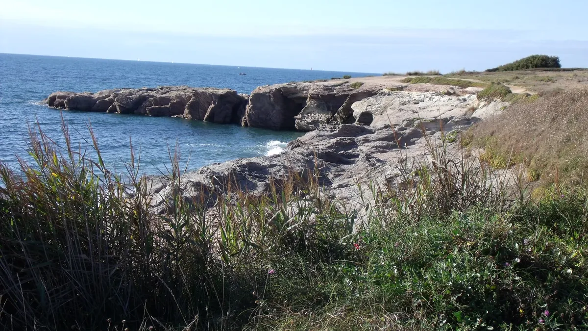 Rochers de la côte de la Sauzaie à Brétignolles-sur-Mer, avec l'océan bleu et des herbes de dune au premier plan