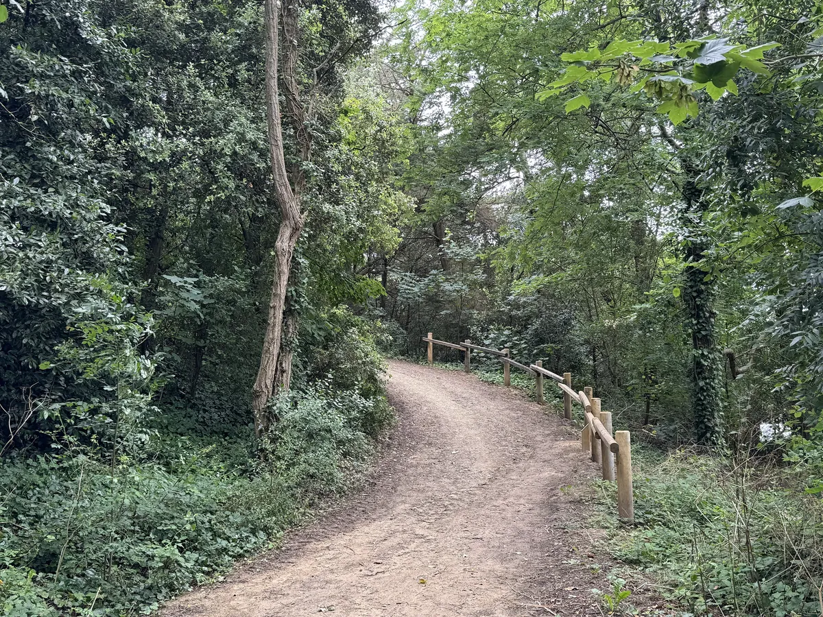 Chemin de terre bordé d'une rambarde en bois dans la forêt de Saint-Jean-de-Monts, près du Devallon