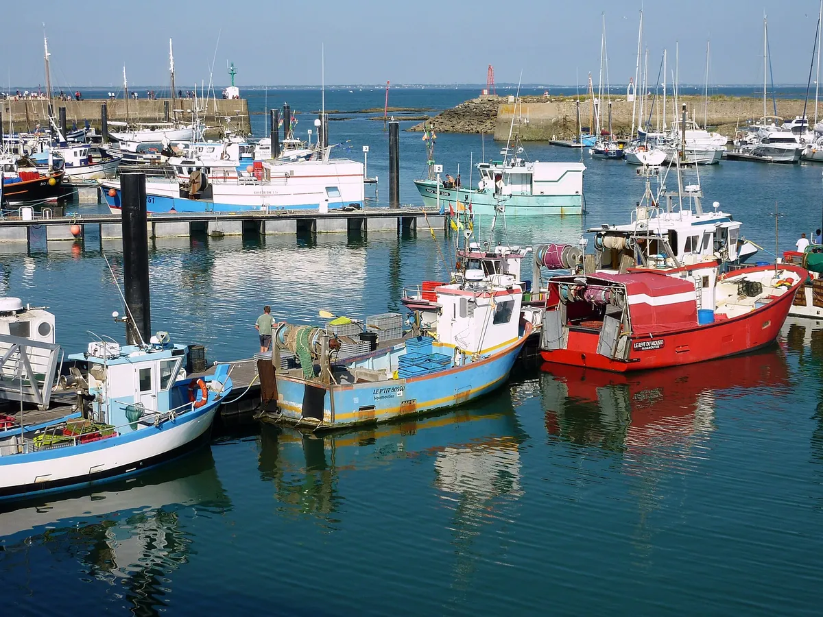Bateaux de pêche colorés et voiliers amarrés dans le port de l'Herbaudière, à Noirmoutier-en-l'Île