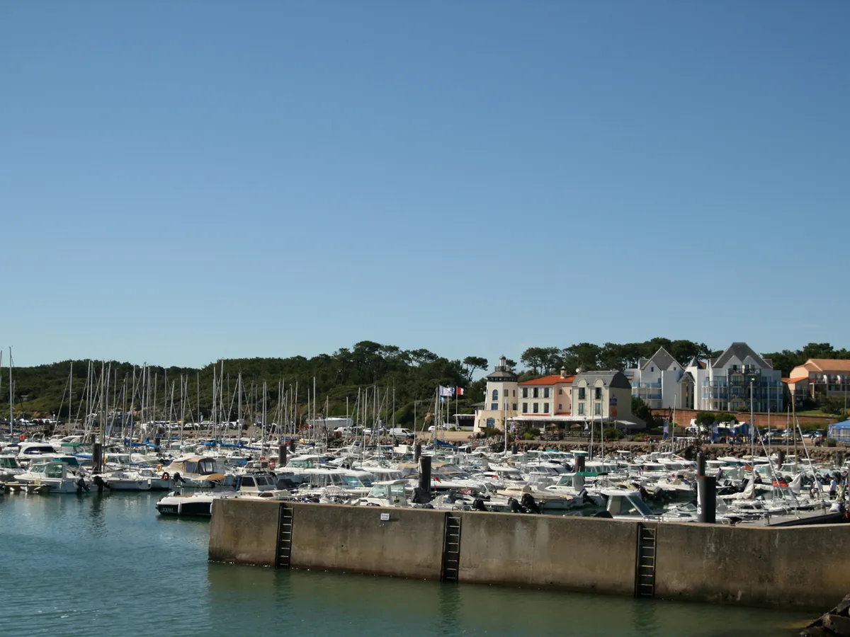 Le port de plaisance de Port Bourgenay, avec de nombreux bateaux amarrés devant les bâtiments du port et la forêt