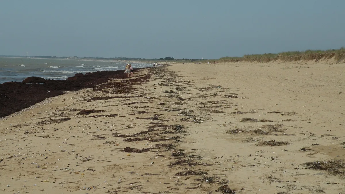 Plage de Notre-Dame-de-Monts